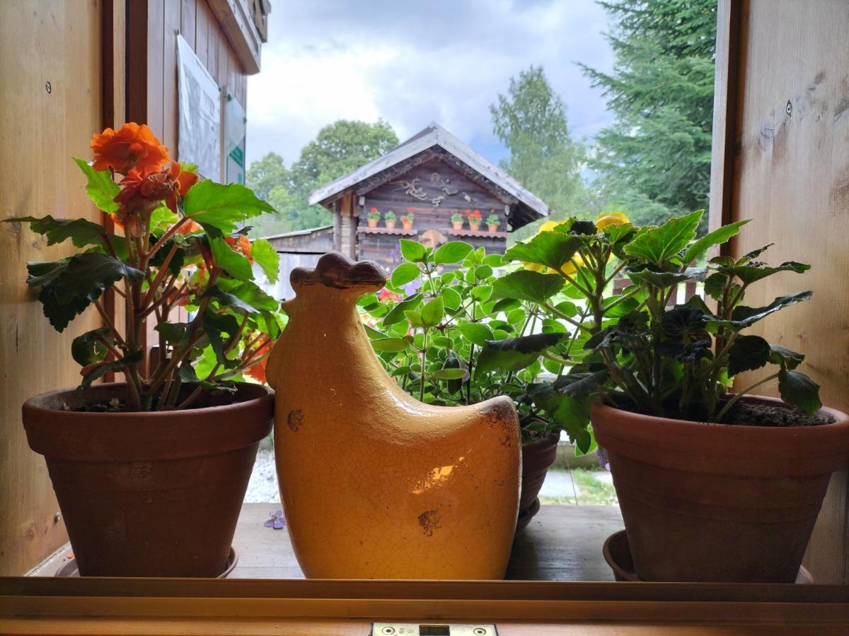 Auberge le Montagny Les Houches Extérieur photo